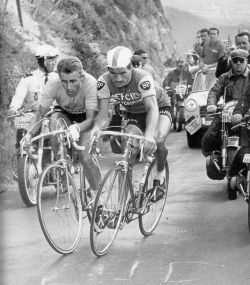 Jacques_Anquetil_&_Raymond_Poulidor